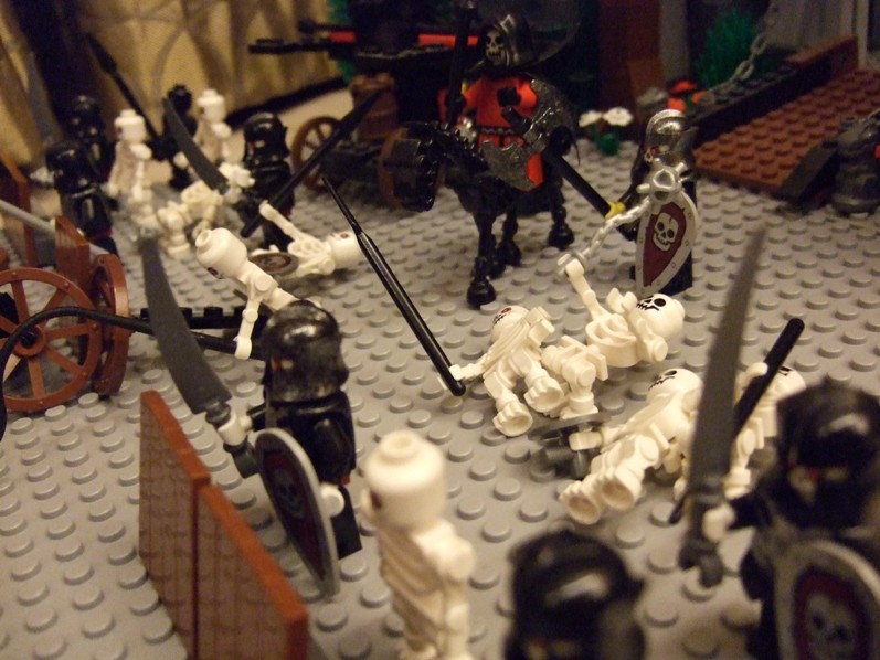 dscf5278.jpg
