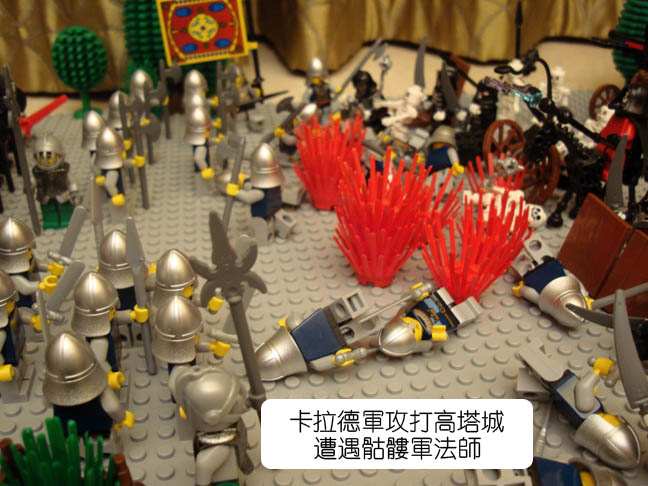 dsc00701.jpg
