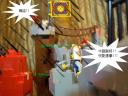 dsc01049.jpg