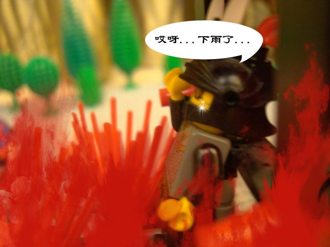 dsc01168.jpg