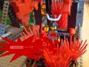 dsc01155.jpg