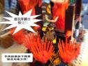 dsc01156.jpg