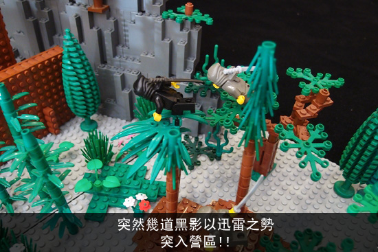 ca11061110.jpg