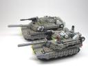 8w_m1a2_10w_2.jpg