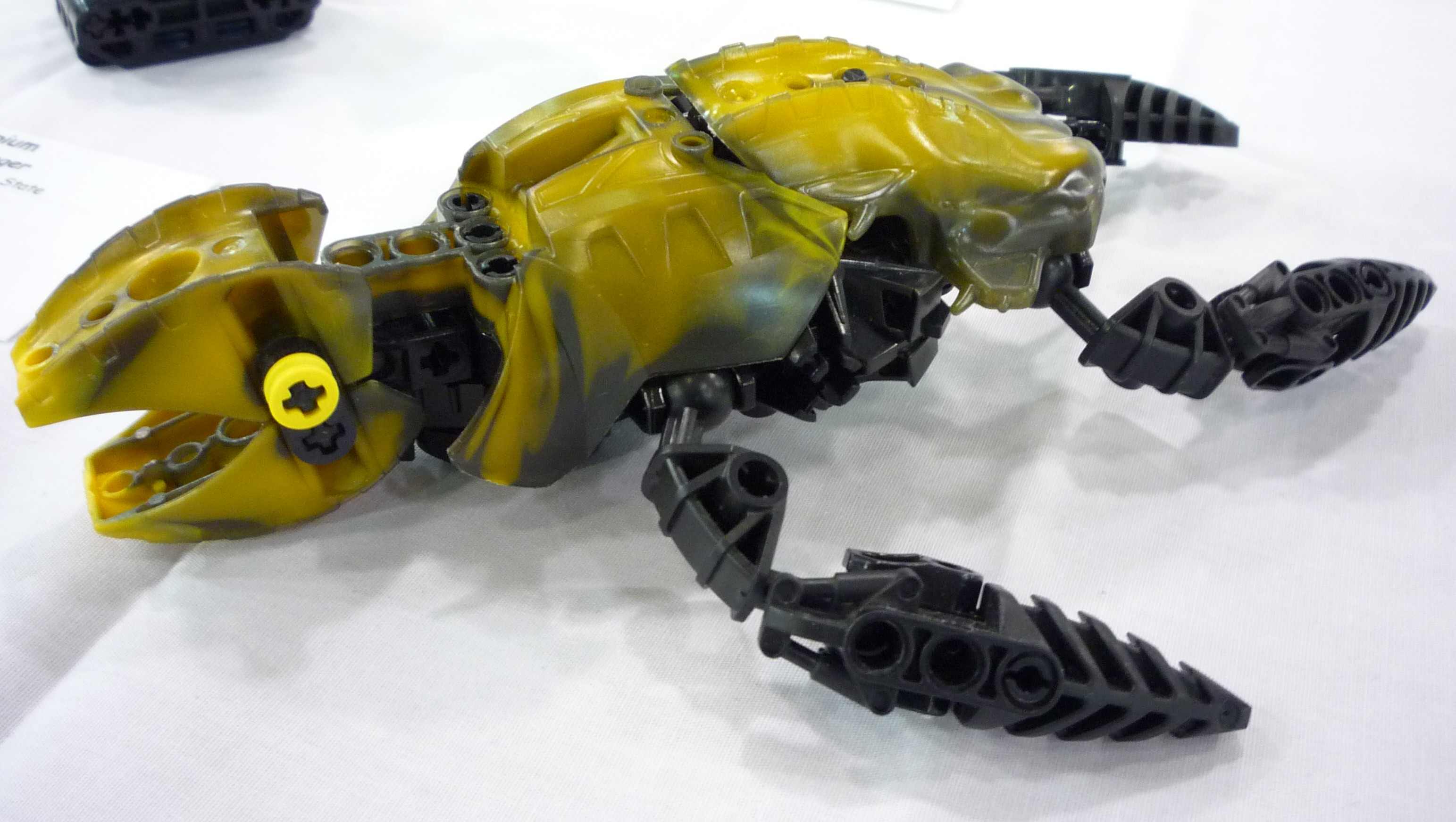 eans_pacifistic_sea_turtle.jpg