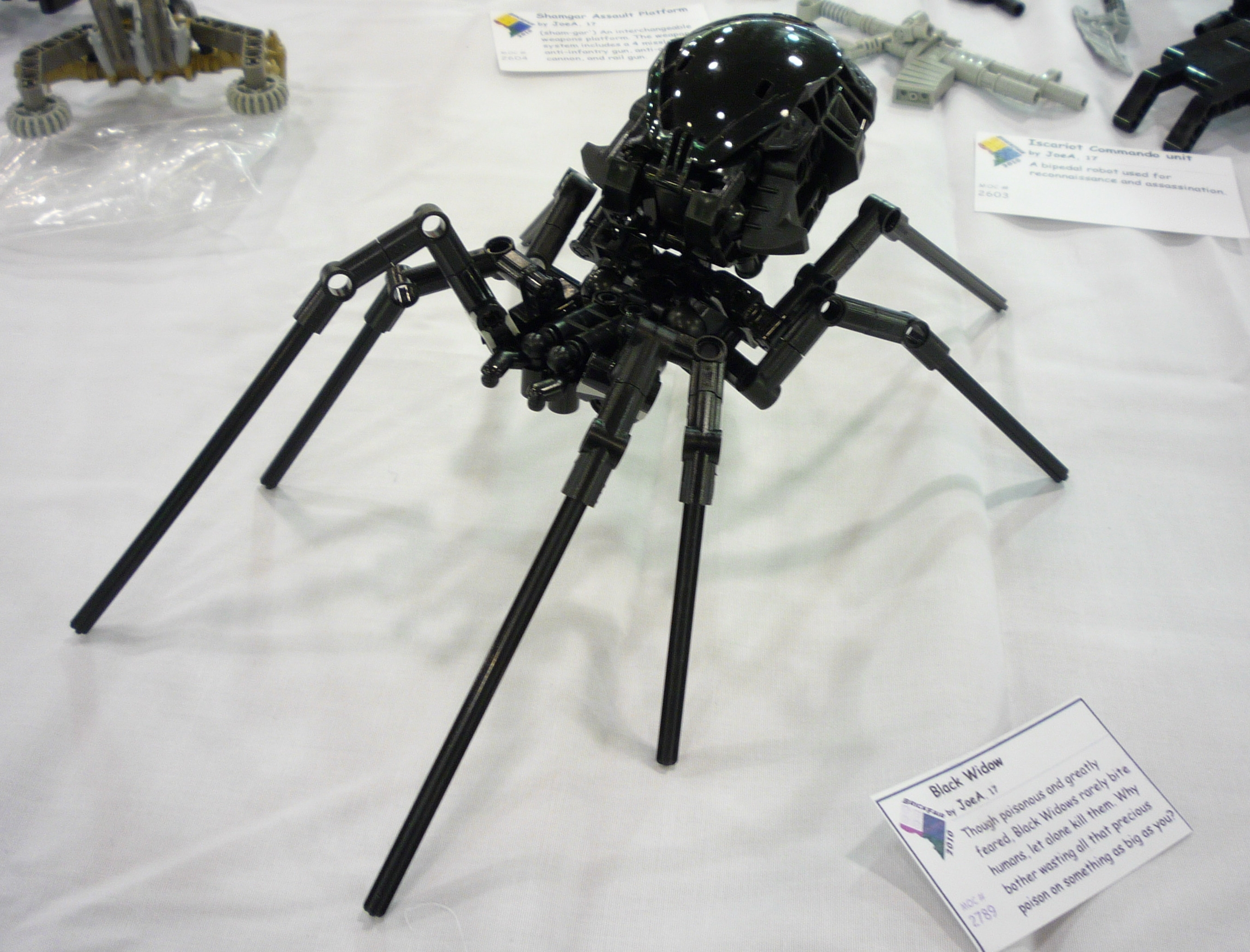 joes_spider.jpg
