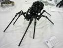 joes_spider.jpg