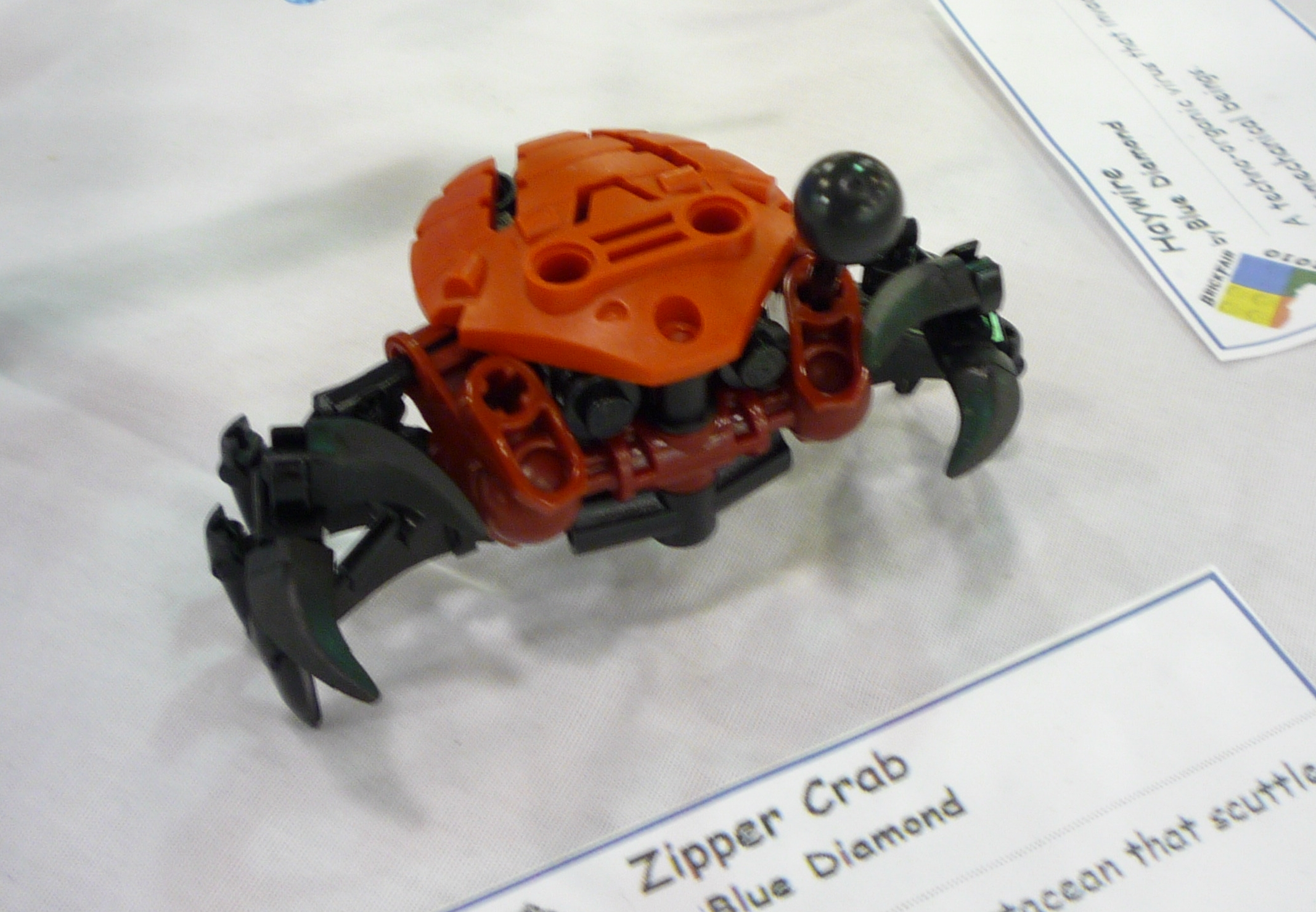zipper_crab.jpg
