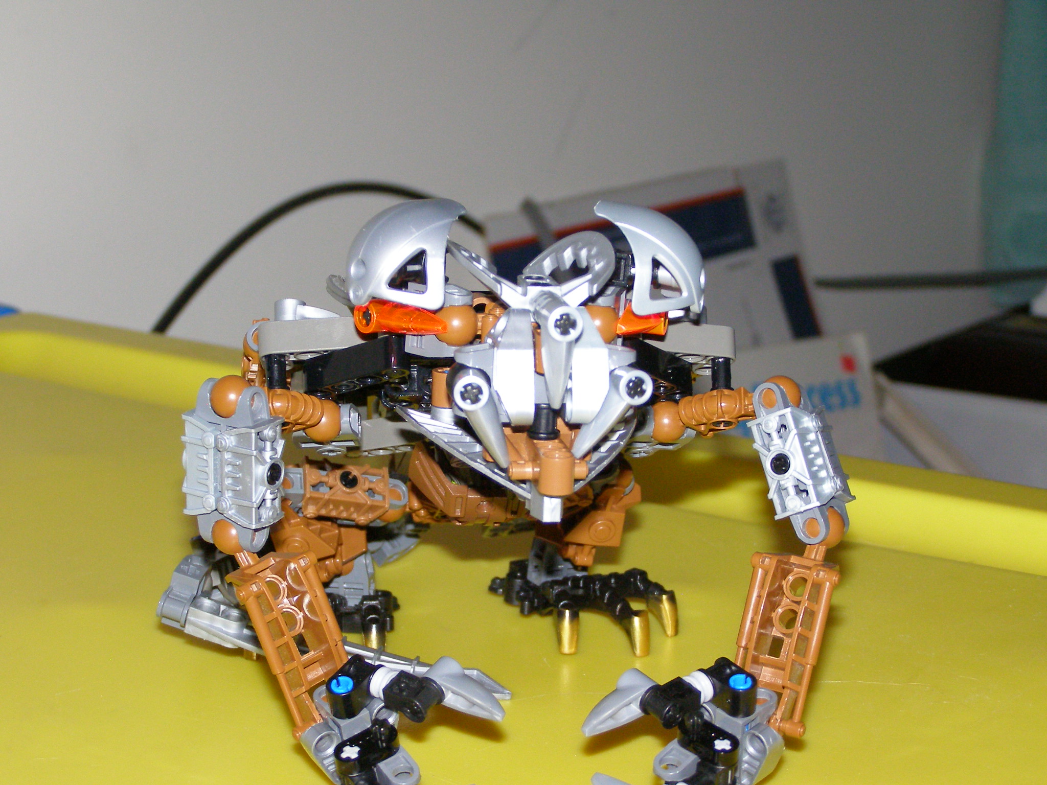 pb301883.jpg