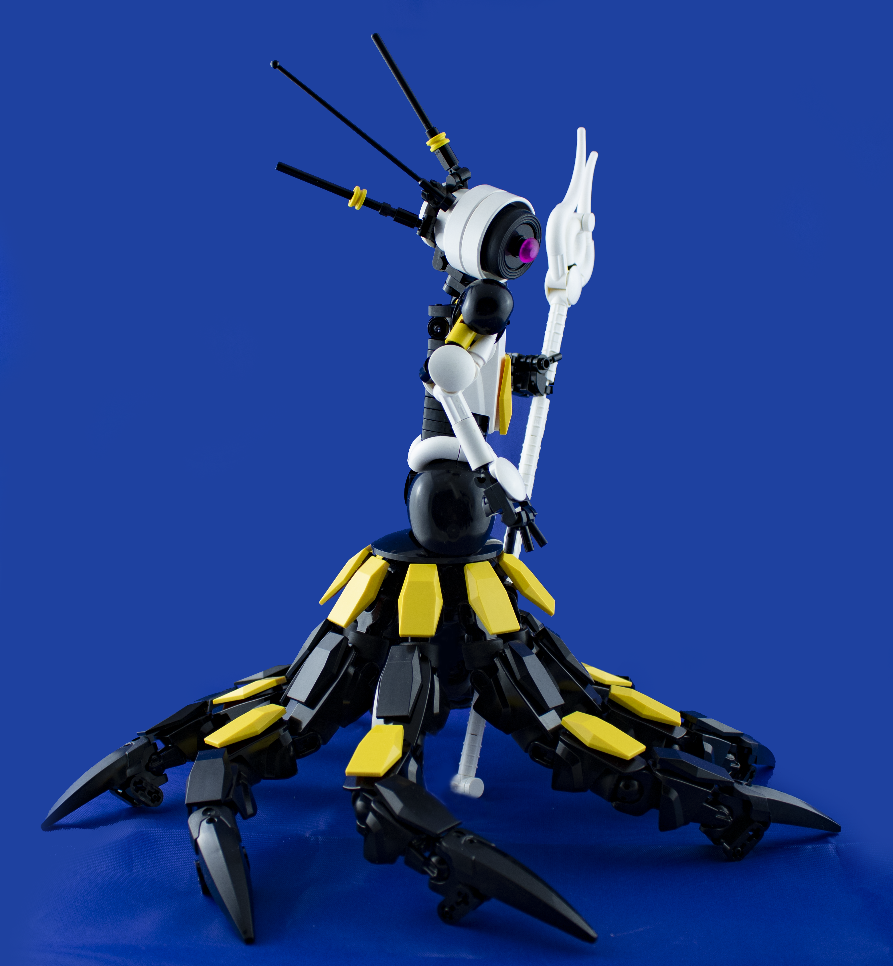 003.png