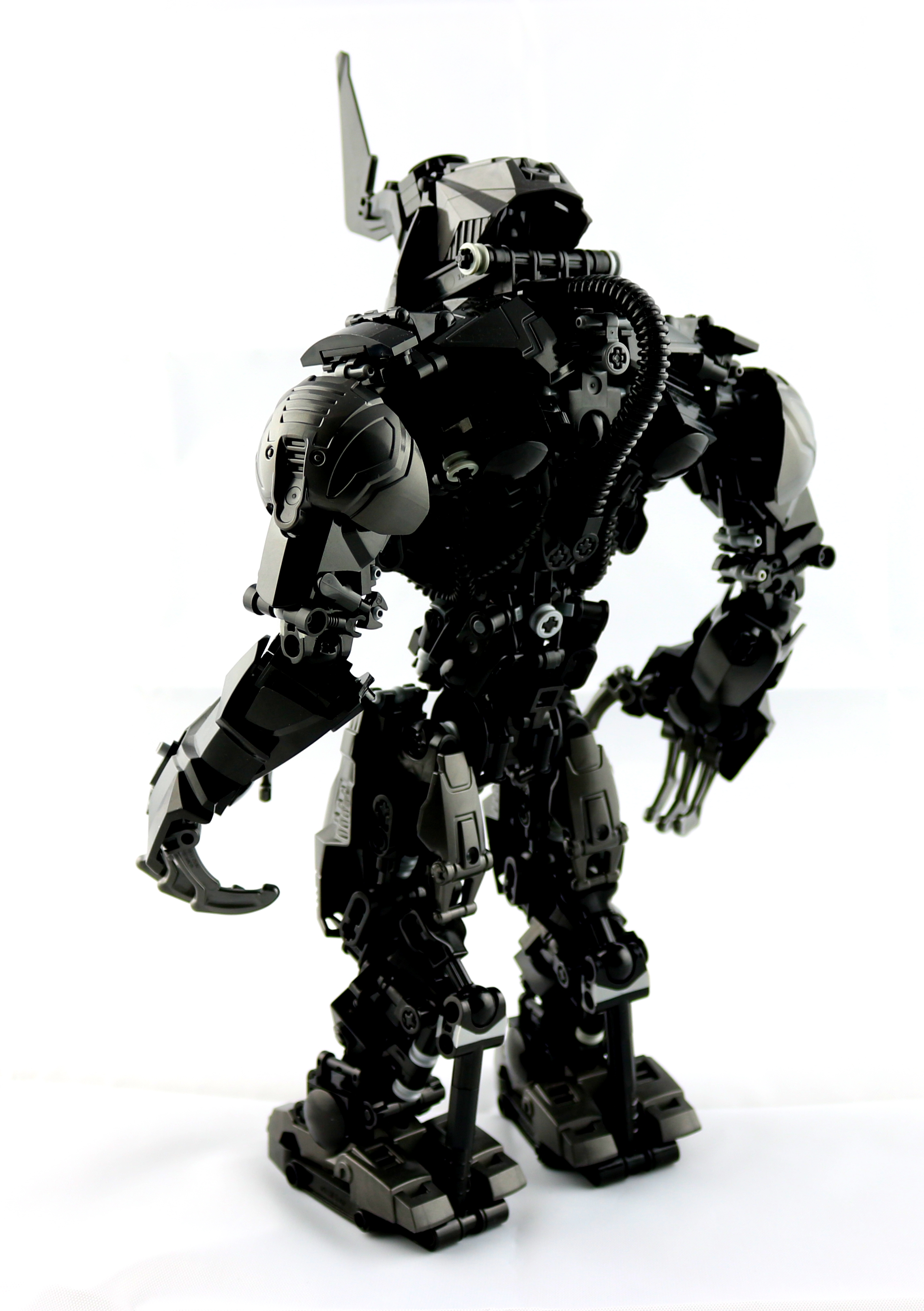 005_rear_third.jpg