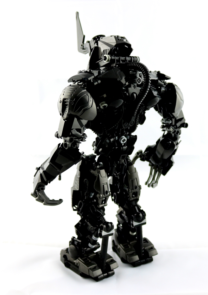 005_rear_third_resized.jpg
