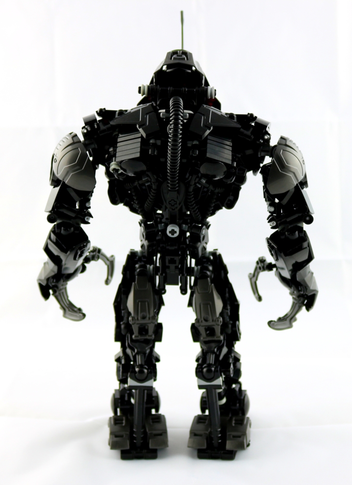 006_rear_resized.jpg