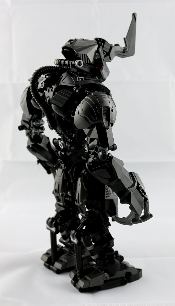 007_right_third_resized.jpg