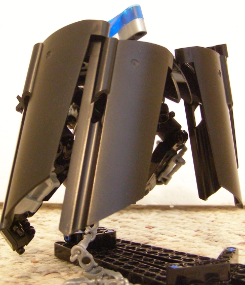 hapori_dume_back_angle.jpg