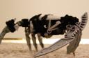 mini_robo_crab_side_angle.jpg