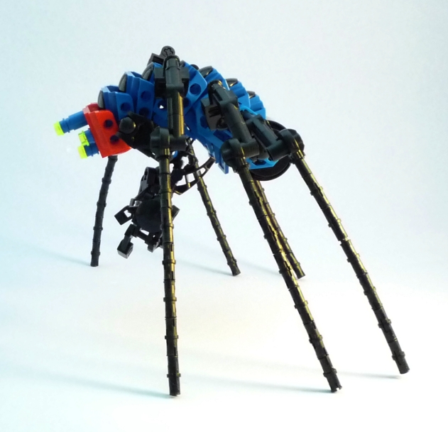 005.jpg