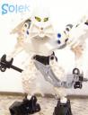 Solek