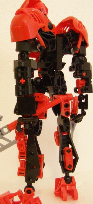 tahu_back_angle.jpg