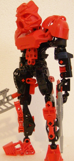 tahu_side_angle.jpg