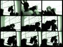 cat_protestmontage.bmp