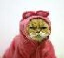 catrabbit.jpg