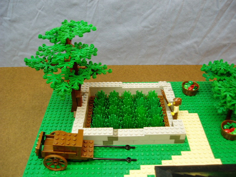 01_field_01.jpg