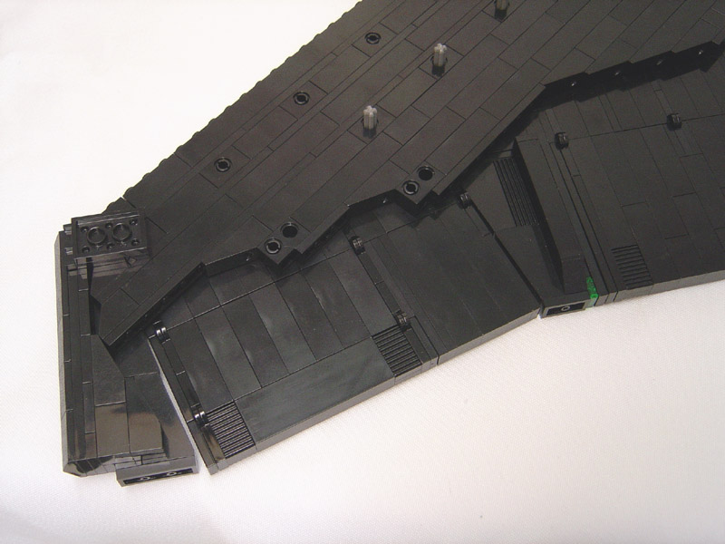 05_wing_dissection.jpg