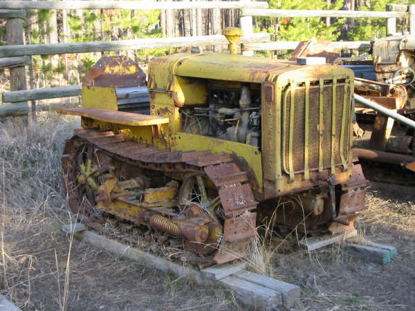 cat22_real.jpg