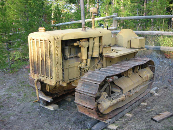 cat28_real.jpg