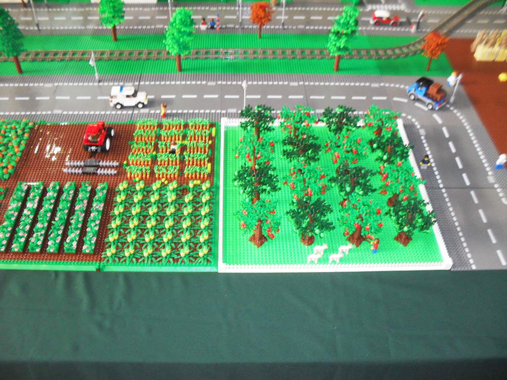 cidade57.jpg