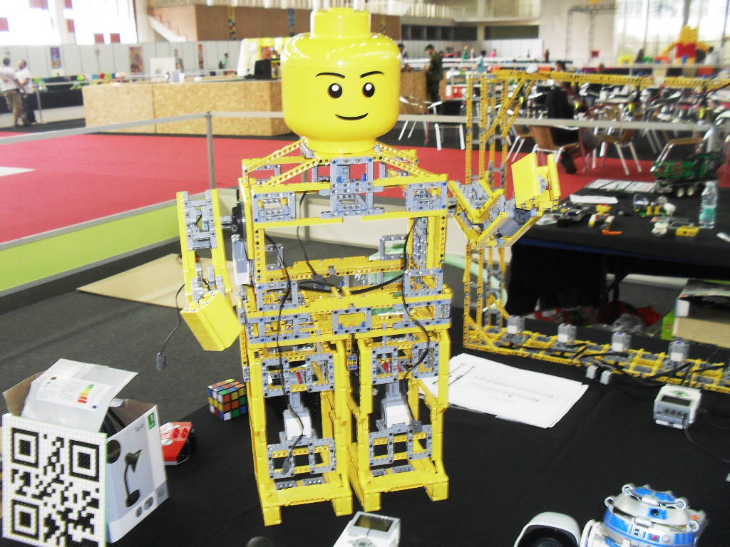 technic10.jpg