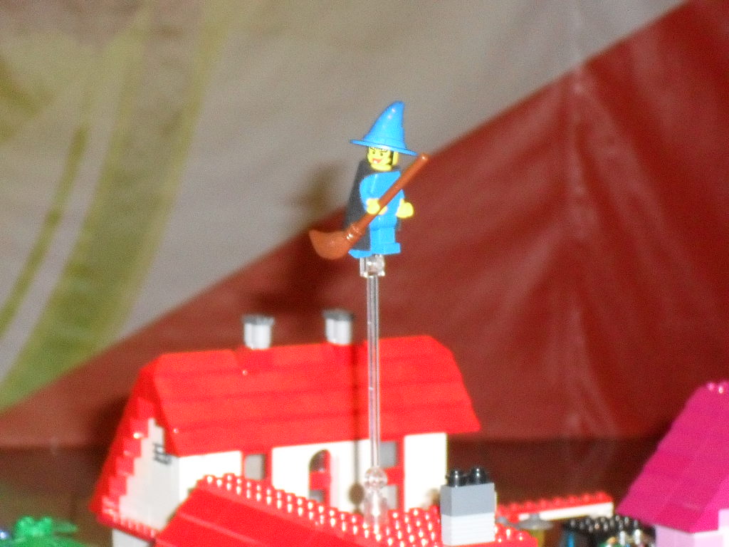 sdc12074.jpg