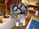 sdc12079.jpg