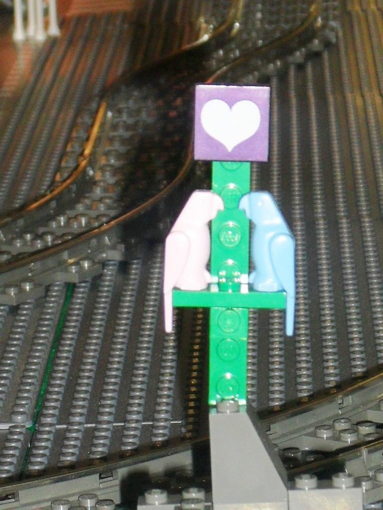 sdc10142.jpg