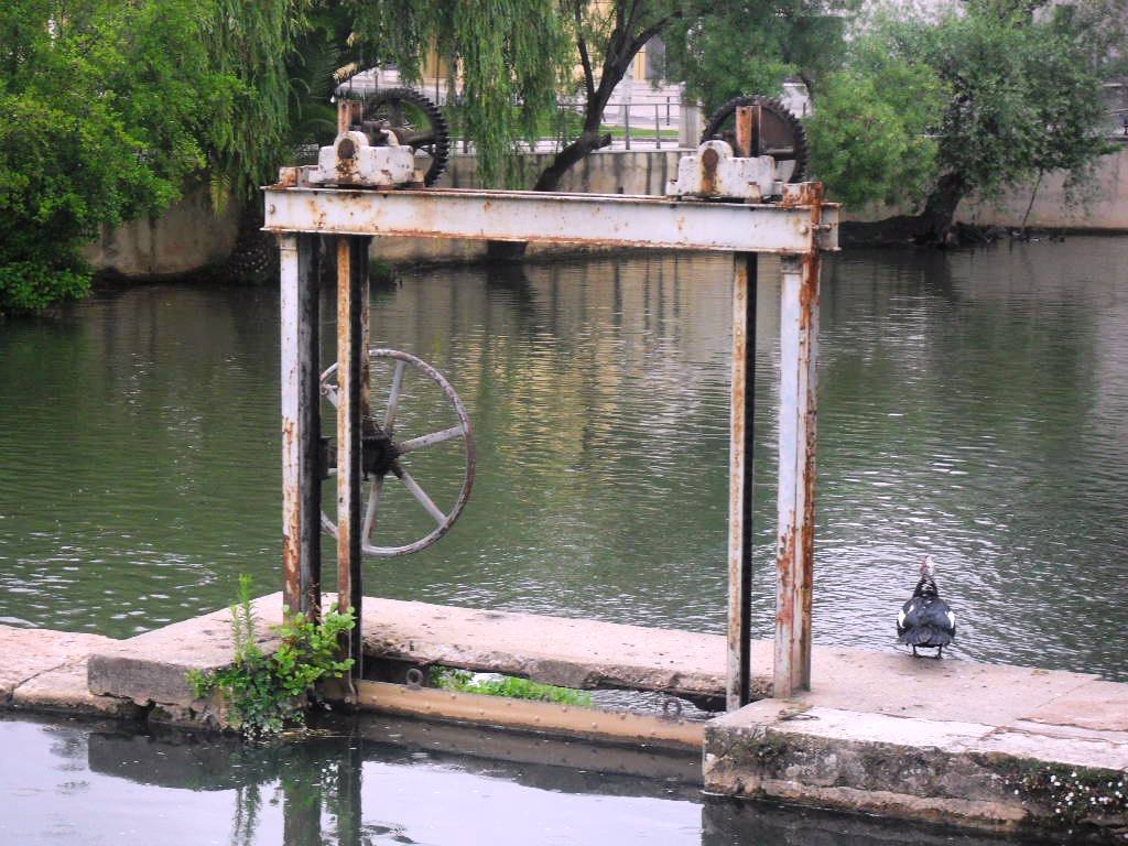 sdc10186.jpg