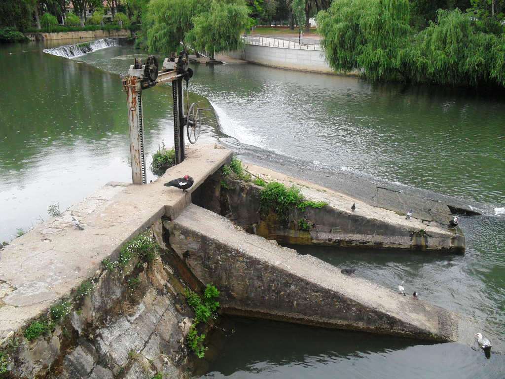 sdc10188.jpg