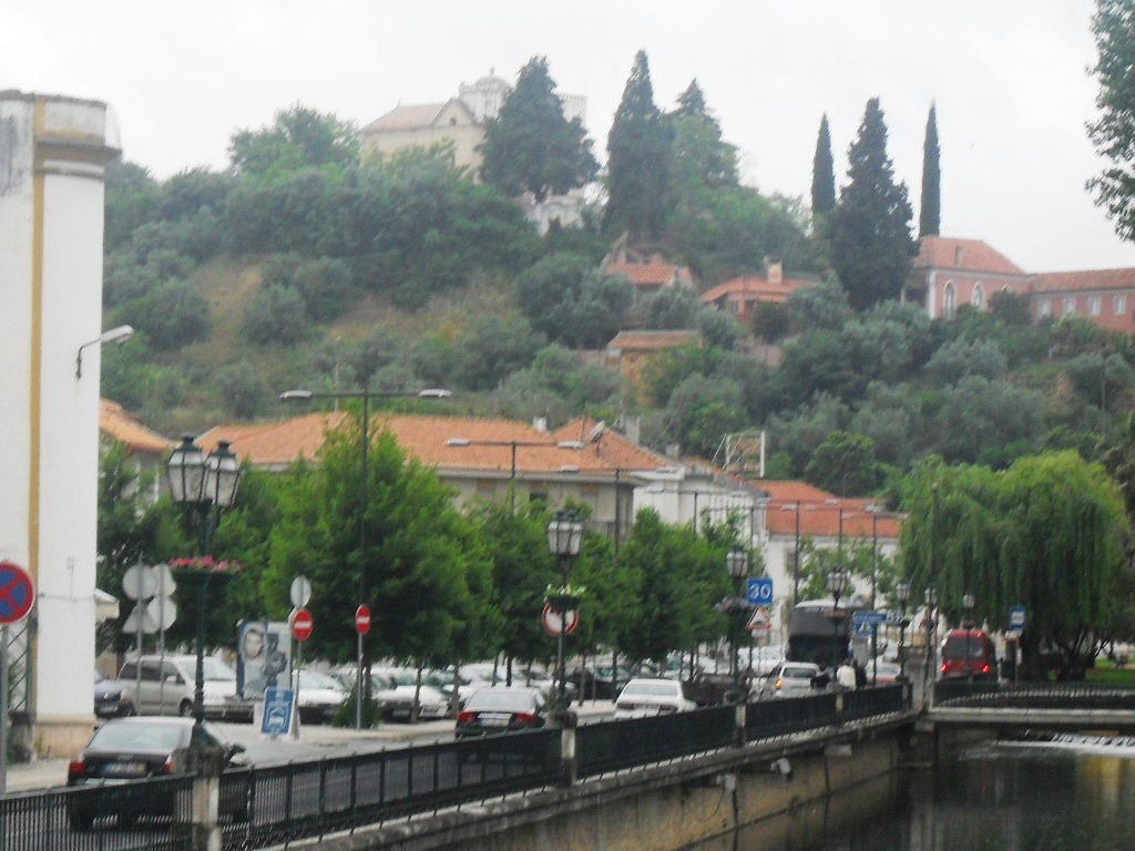 sdc10190.jpg