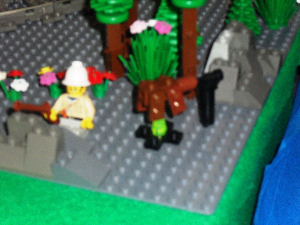 sdc10257.jpg