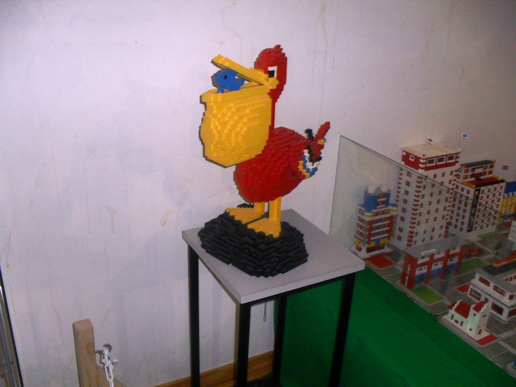 sdc10288.jpg