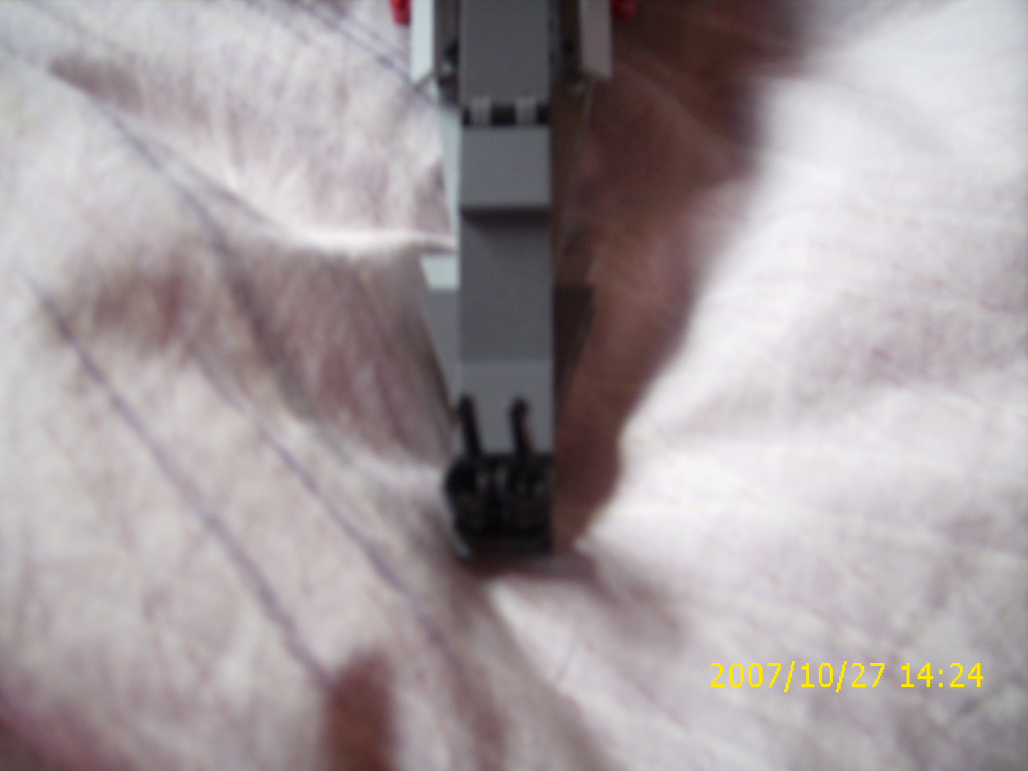 dsci0571.jpg