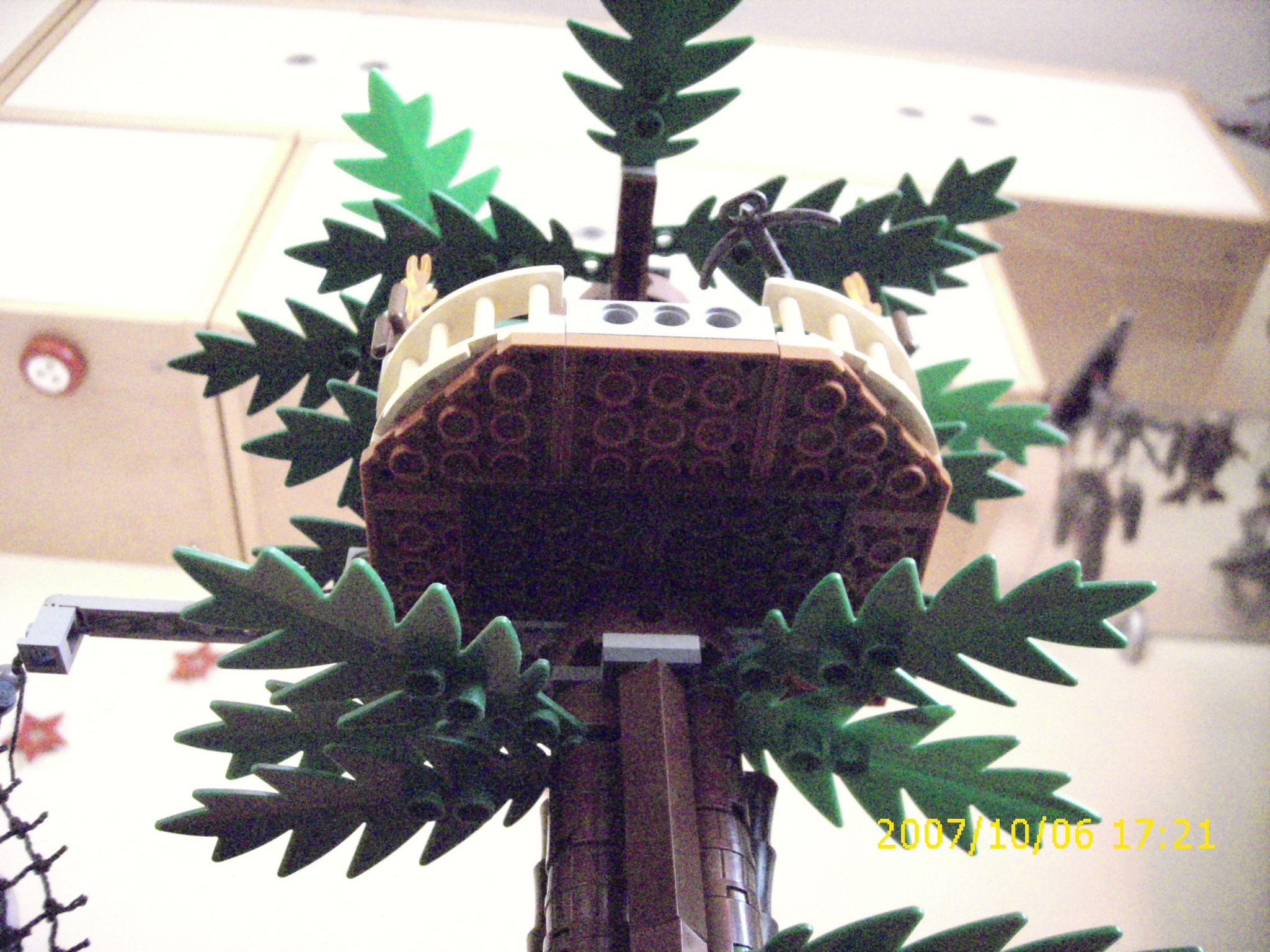 dsci0044.jpg