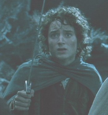 frodo_movie2.jpg