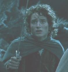 frodo_movie2_mini.jpg