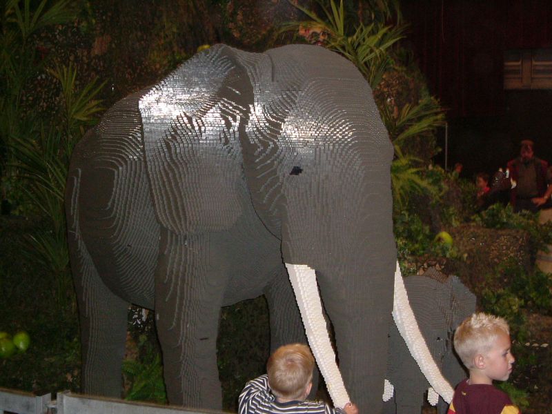 elephant.jpg