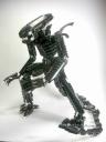 AlienWarrior01
