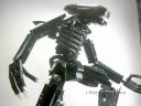 alienwarrior5.jpg