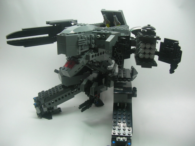 rex0110.jpg