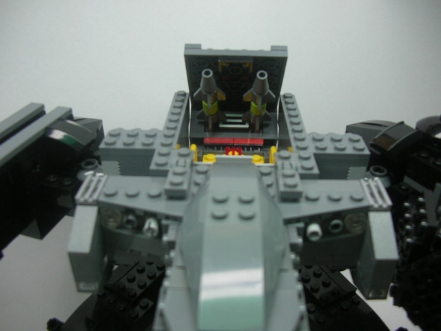 rex0113.jpg