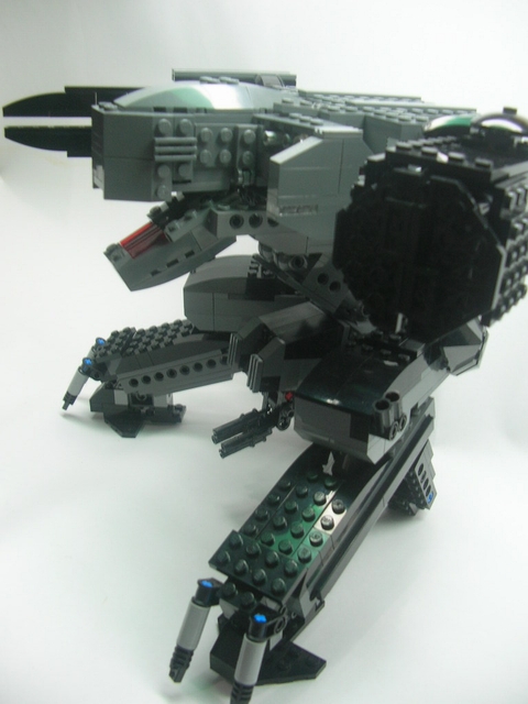 rex0140.jpg